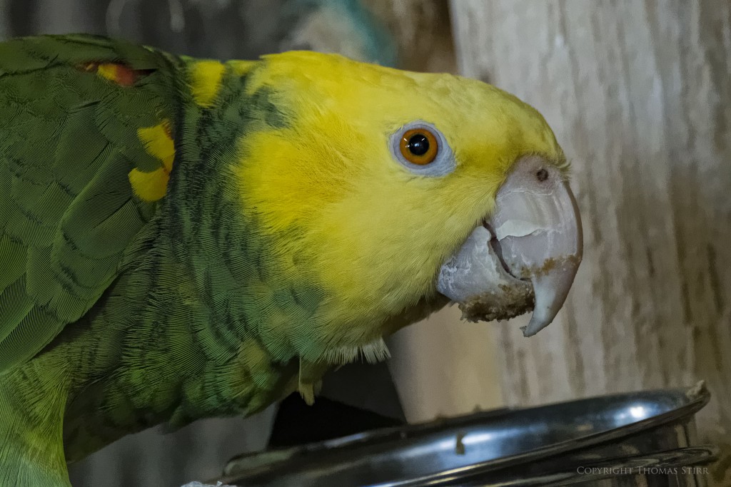 f/5.6, 1/125, ISO-6400, 157mm