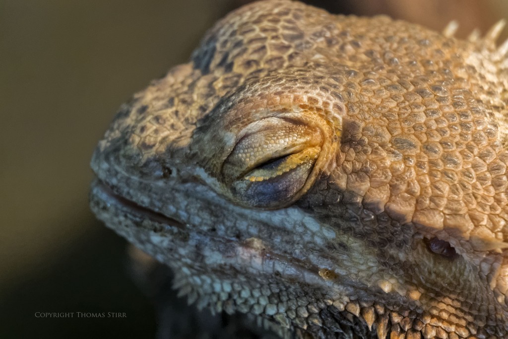 f/5, 1/125, ISO-3200, 83mm