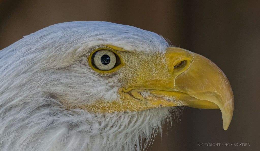 f/5.6, 1/400, ISO-1400, 165mm