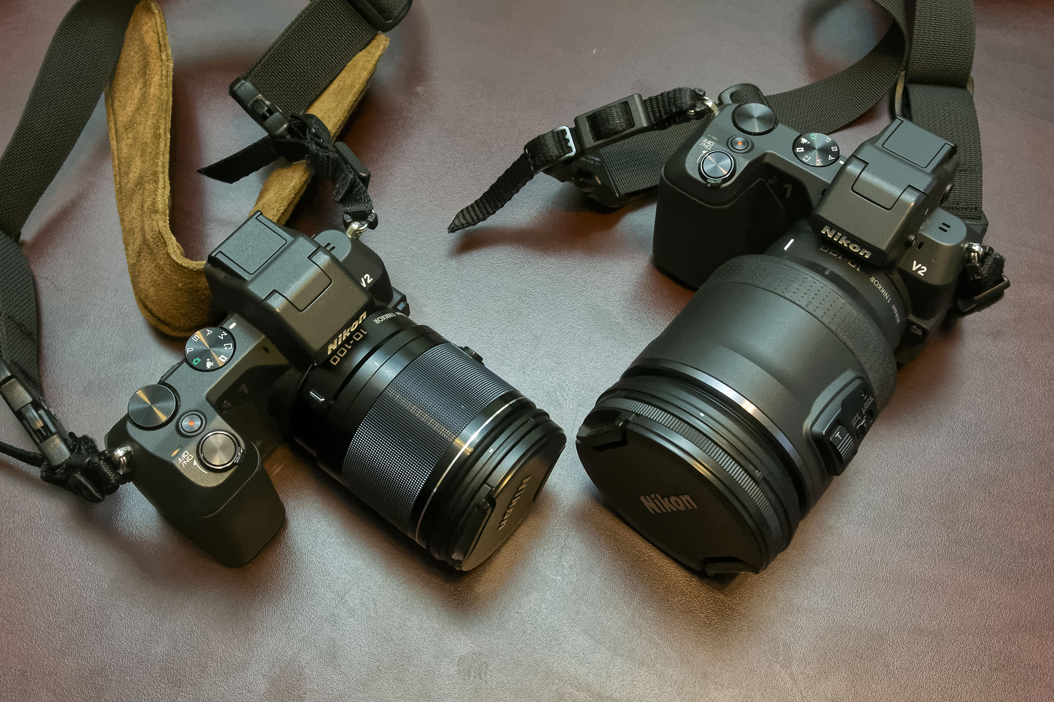 1 Nikon 10-100mm f/4-5.6 Hands-on Review - Small Sensor 