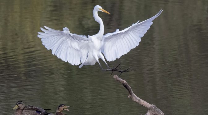 Capturing the Moment