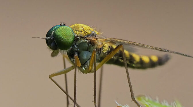 Article 1500 Milestone Reached